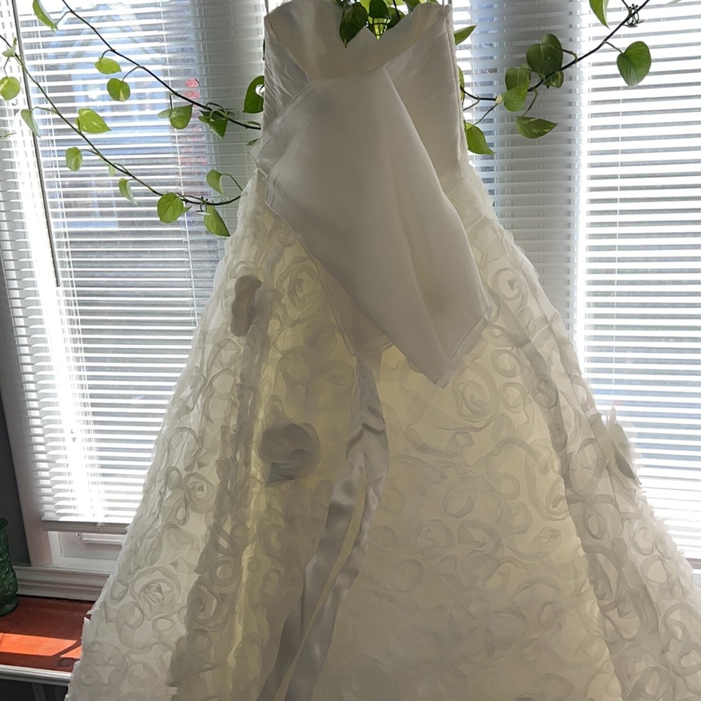 Wedding Dress - Picture 6 of 15